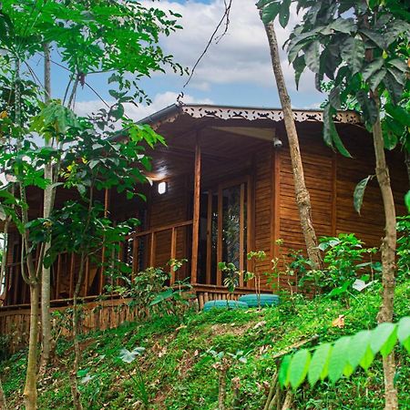 Willa Eco-Por Rio do Ouro Zewnętrze zdjęcie