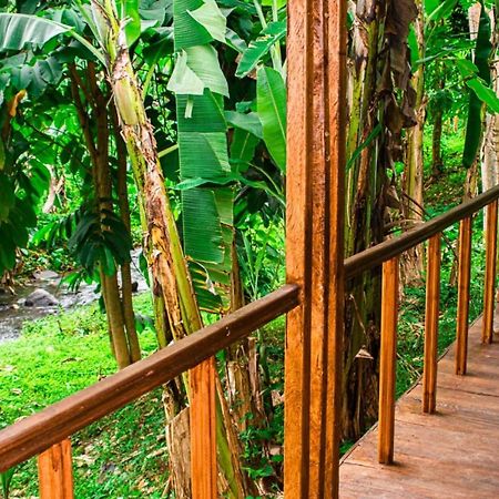 Willa Eco-Por Rio do Ouro Zewnętrze zdjęcie