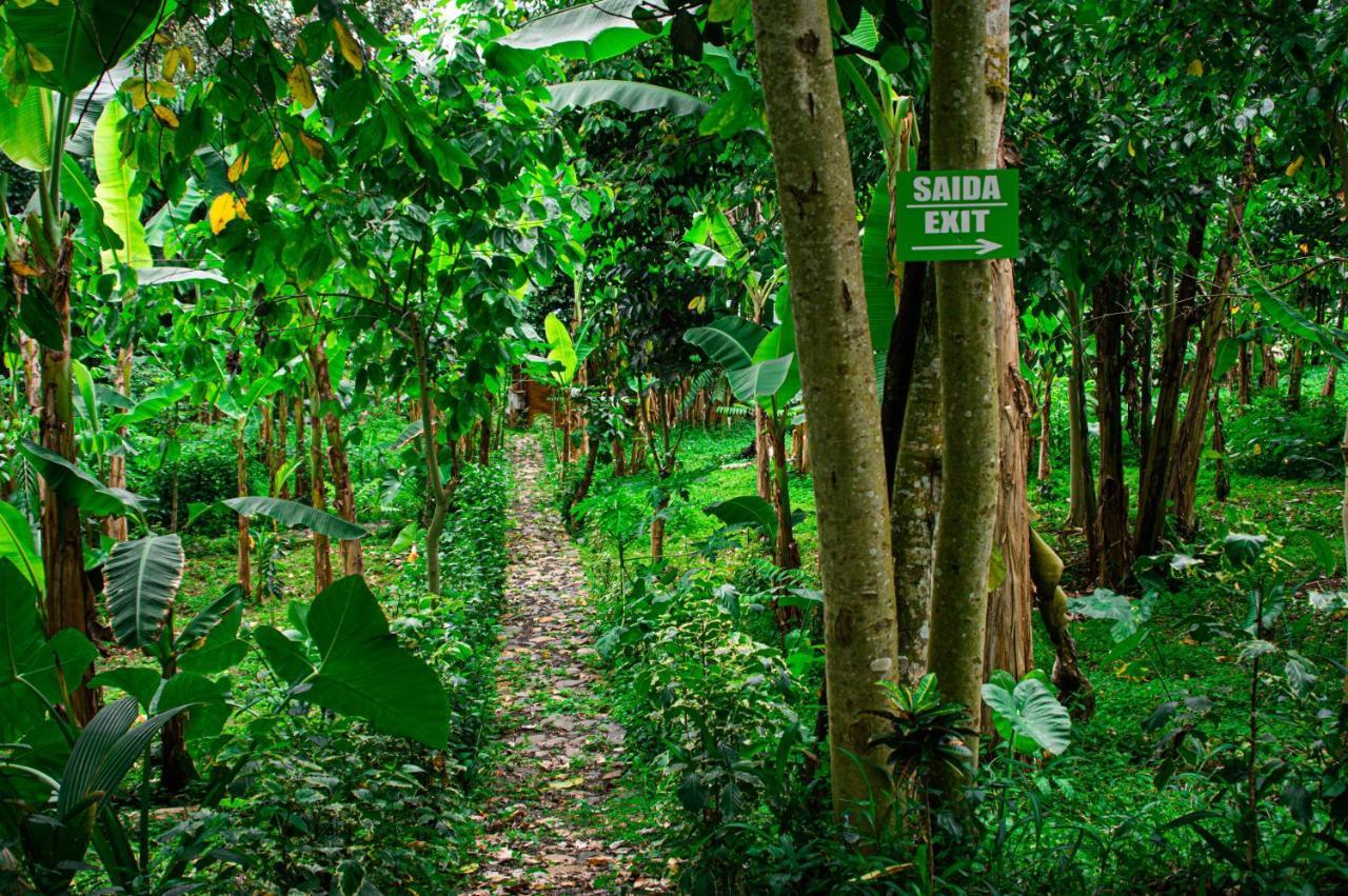 Willa Eco-Por Rio do Ouro Zewnętrze zdjęcie