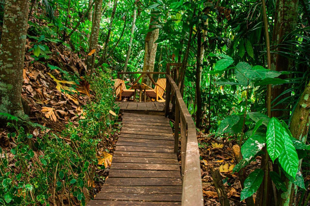 Willa Eco-Por Rio do Ouro Zewnętrze zdjęcie